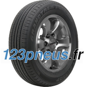 Dunlop Grandtrek PT30 ( 225/60 R18 100H )