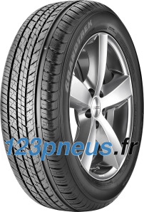 Dunlop Grandtrek ST 30 ( 225/60 R18 100H )